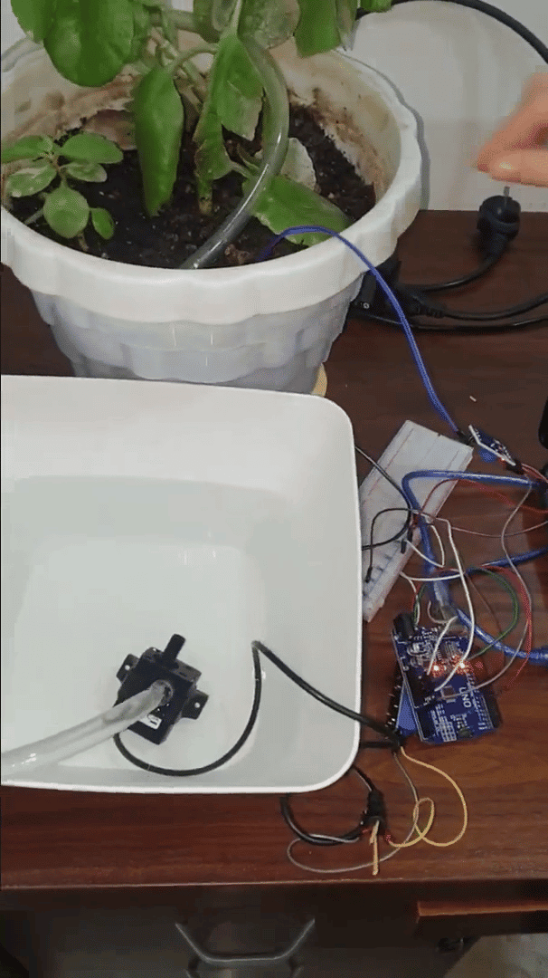 SMART TREE - Binary School